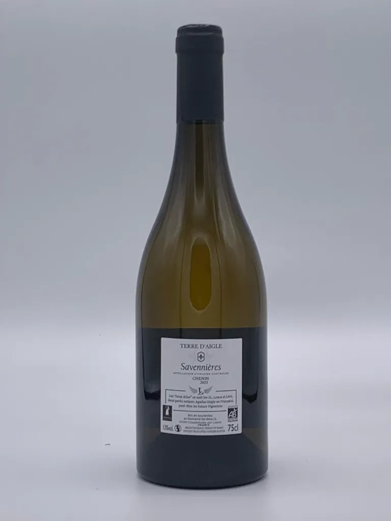 TerDaigSav23ak.webp