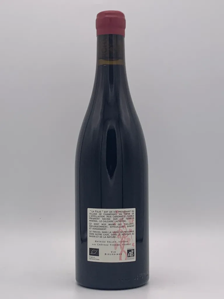 ChatYvLaFolie23ak.webp