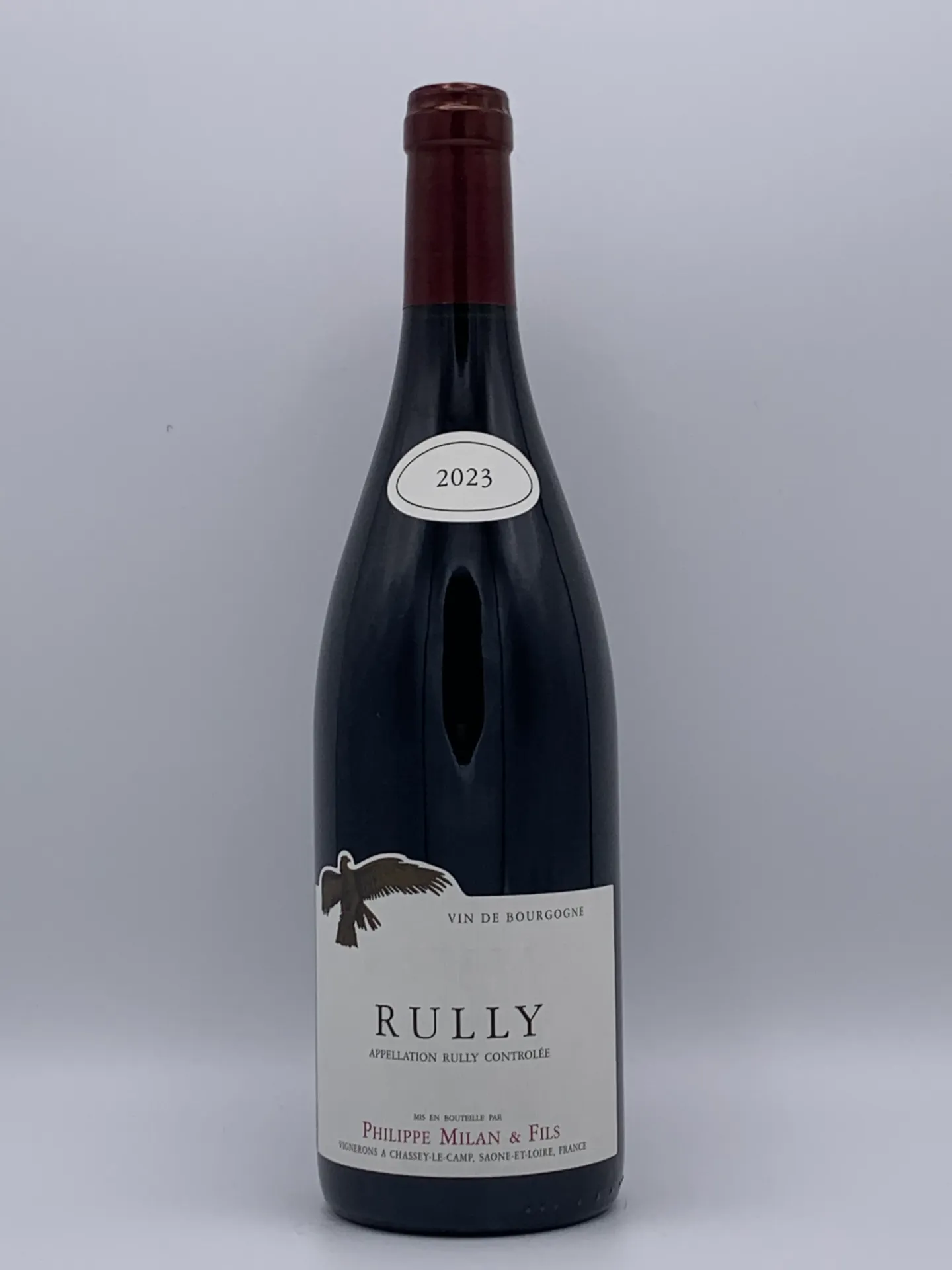 [KMR23R] Rully 2023 R