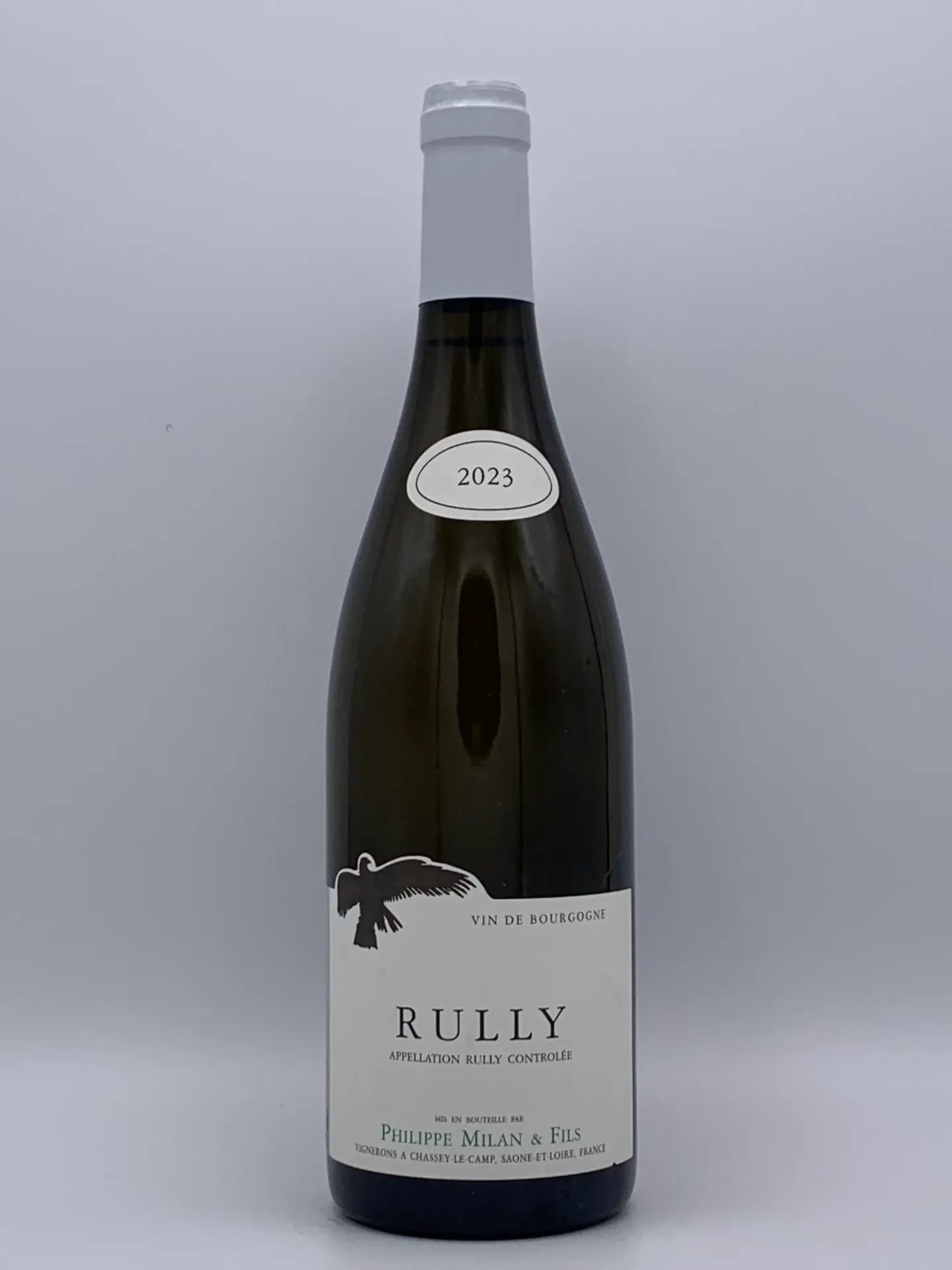 [KMR23W] Rully 2023 W