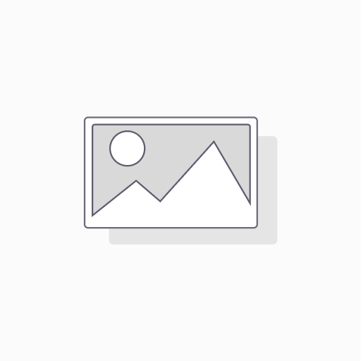 [DomBrisChevBl23] AOP Cheverny Blanc - Brissettes - Maxime Cadoux 2025